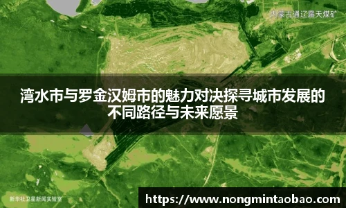 湾水市与罗金汉姆市的魅力对决探寻城市发展的不同路径与未来愿景